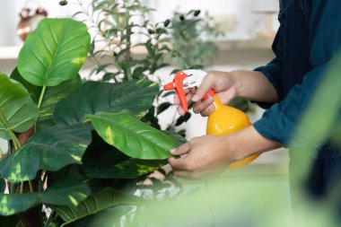 Biri bitkiye sarı sprey sıkmış..