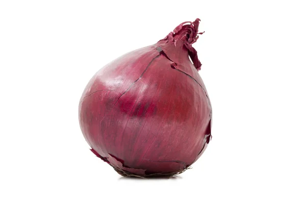Una cebolla roja aislada —  Fotos de Stock