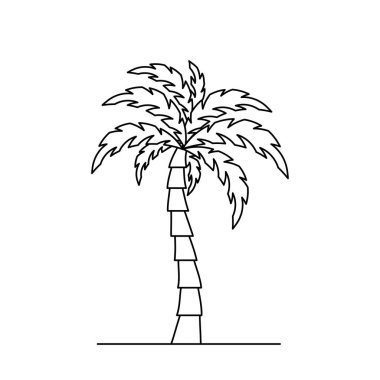 Palmiye ağacı ikonu. Doğrusal hindistan cevizi ağacı simgesi. Vektör çizimi. Avuç içi vektör simgesi. Siyah doğrusal palmiye simgesi