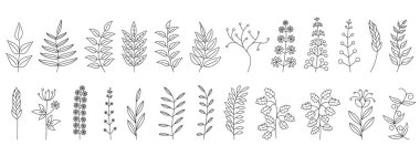 Sonbahar dalları. Kara dallar izole edilmiş. Doğrusal sonbahar dalları seti. Vektör illüstrasyonu.