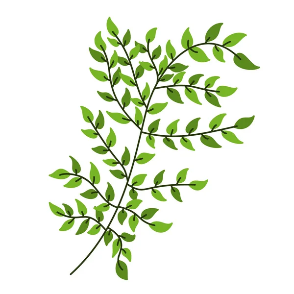 Branch Tak Met Groene Bladeren Vector Illustratie Boom Tak Witte — Stockvector