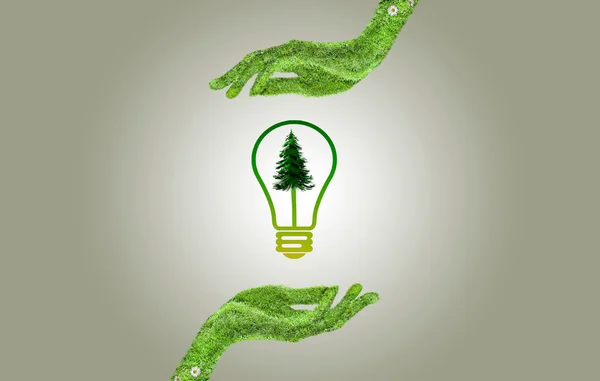 Hand holding eco light bulb energy concept — Stock Photo, Image