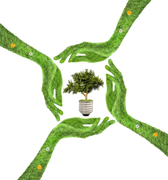 Árvore na mão, conceito de energia — Fotografia de Stock