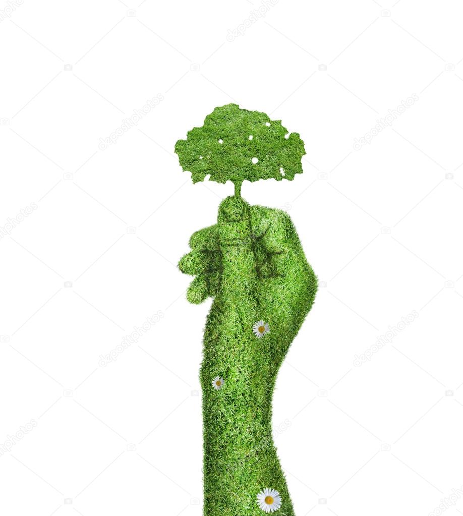 Tree in hand