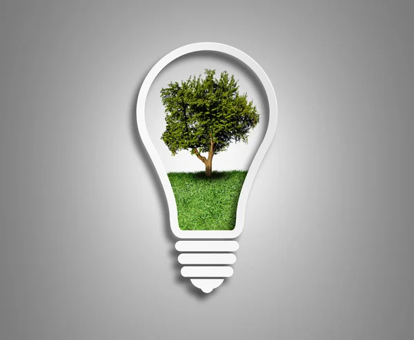 Tree inside the light bulb — Stock Photo, Image