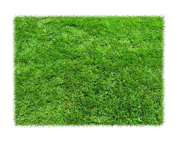 Tráva je zelená obdélníky na bílém pozadí. — Stock fotografie