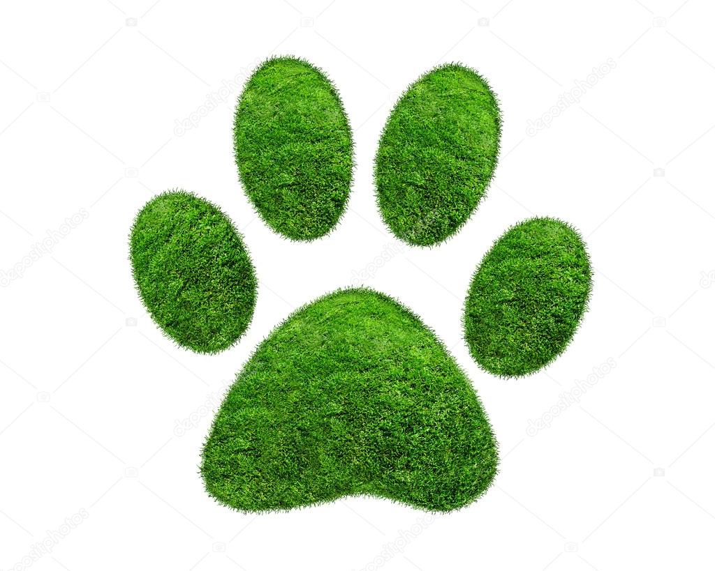 Green grass animal footprint on white background