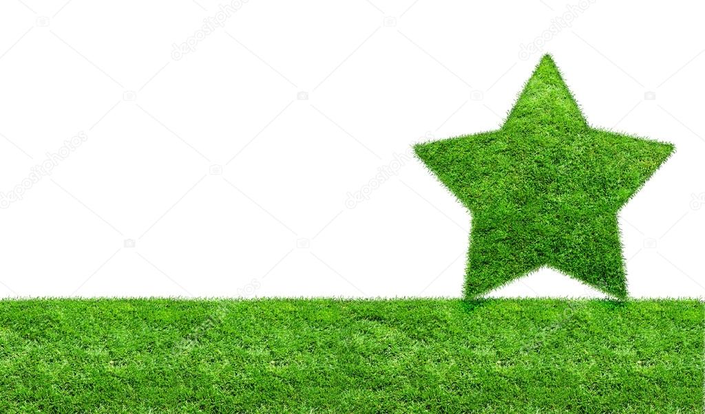 The Green Grass Star on a green meadow.