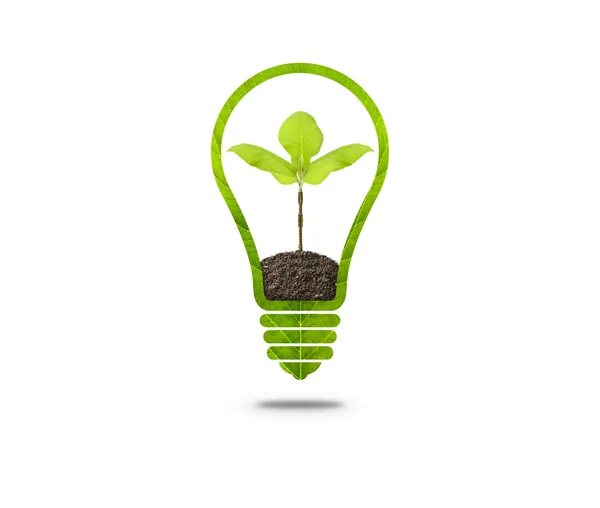 Light Bulb with sprout inside — Stock Photo, Image