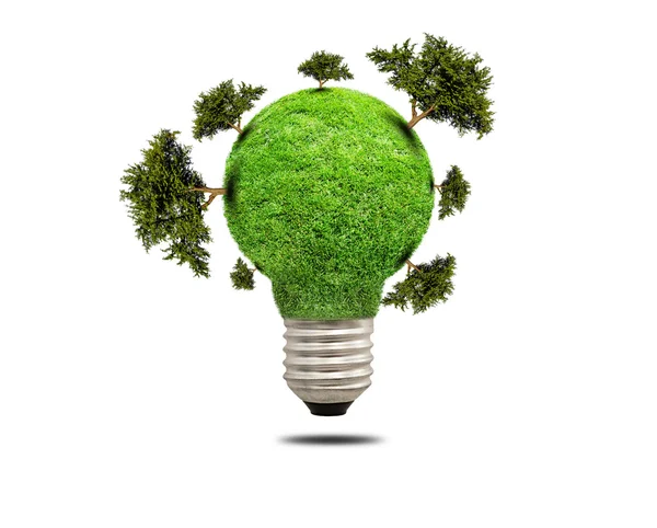 Green grass light bulb isolated — Stock Photo, Image