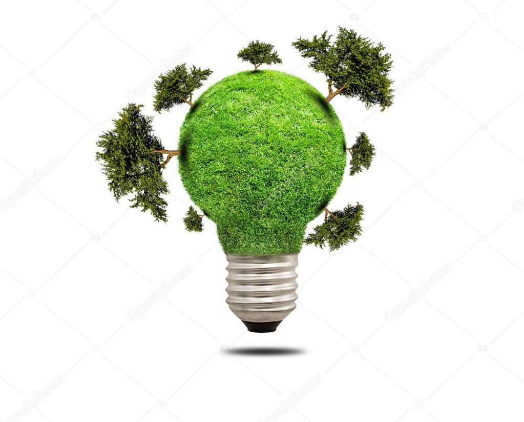 Green grass light bulb isolated
