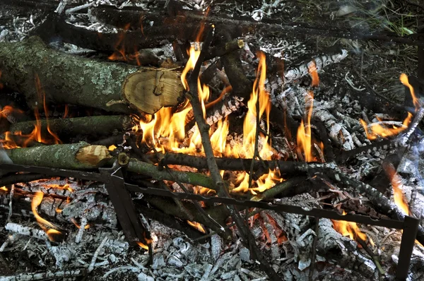 Feuer aus brennendem Brennholz mit Asche und Flammen — Stockfoto