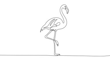 Flamingo in one line art style. Drawing of flamingo with editable black stroke on white background. Vector illustration.