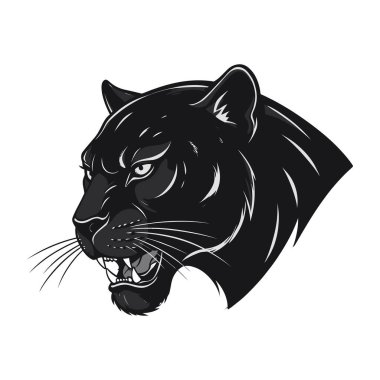 Kızgın siyah panter kafa ikonu. Siyah panter kafası, çıplak dişleri ve beyaz gözleri var, sola bakıyor, beyaz arka planda izole. Vektör illüstrasyonu.