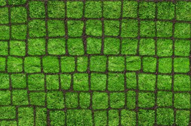 Soyut yeşil çimen fayans