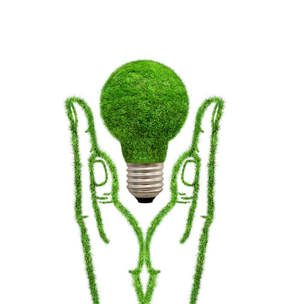 Зеленая травяная лампа в руках
.