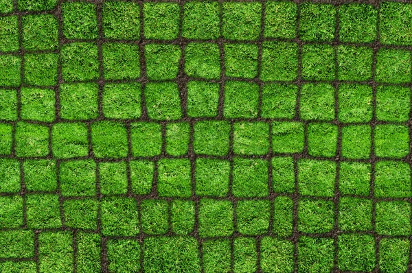 Herbe abstraite carreaux verts — Photo