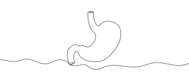 Mide sanat tarzında. Sürekli çizilen bir insan organının minimalist çizimi. Vektör illüstrasyonu.