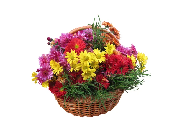 The various flowers in a basket isolated. — Stock Photo, Image