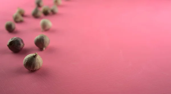 Sarımsak akrilik, kaşındıran pembe tuval arka planda. Yemek, mutfak, fotokopi alanı ile yemek yemek..