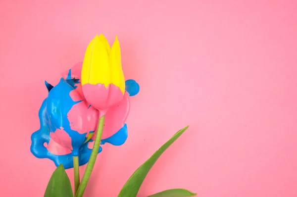 Colorful acrylic and yellow flower, tulip flat lay on clear pink background. Dripping vivid candy ink medium colors, blue, pink on floral. For your any ideas of important days, flat lay, artwork theme.