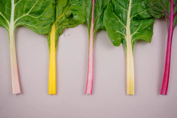 Swiss Chard Healthy Colorful Rainbow Leafy Leaves Vegetable Plant Flat — Stock Photo, Image