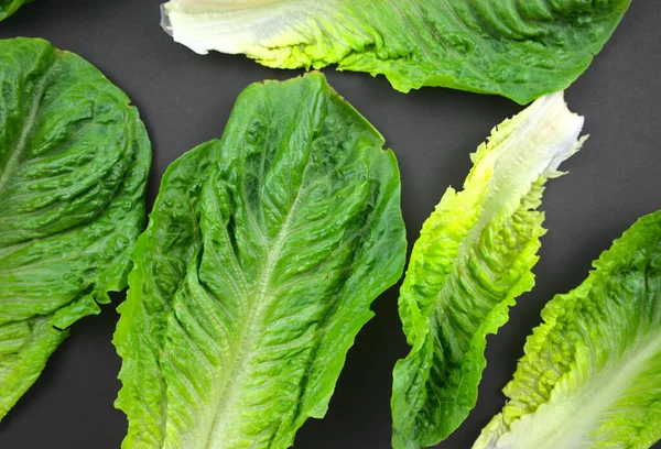 Taze Romaine veya marul, yeşil yapraklı sebze bezi siyah arka planda yatıyordu. Üst görünüm, yatay resim biçimi.