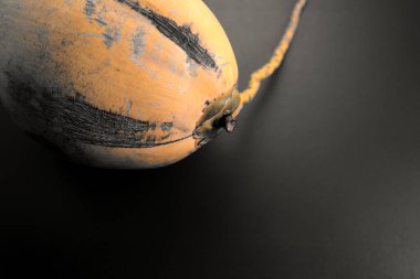 Ham hindistan cevizi meyvesi ve soluk, sarı renkli siyah desenli soyut arka plan. Karanlık karamsar fotoğrafçılık. Negatif alan, boş alan, yatay, pop sanat, güzel sanatlar.