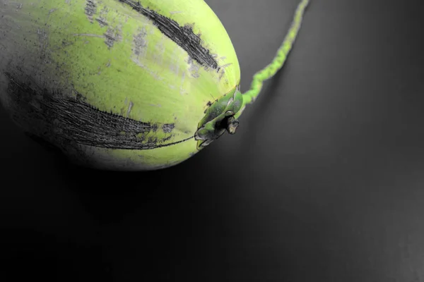 Vers Kokosfruit Met Gedempt Stemmig Groen Vlak Lag Zwarte Textuur — Stockfoto