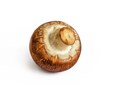 Kahverengi şapkalı şampiyon, kesik saplı, beyaz arka planda izole edilmiş.