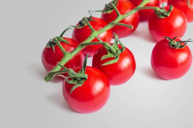 Açık gri arka planda küçük kırmızı kiraz domatesli yeşil dal