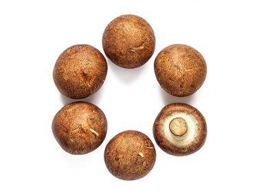 Kahverengi şapkalı birkaç şampiyon, beyaz bir arka planda izole edilmiş bir şekilde daire şeklinde dizilir.