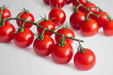 Beyaz arka planda küçük kırmızı domatesli iki yeşil dal.