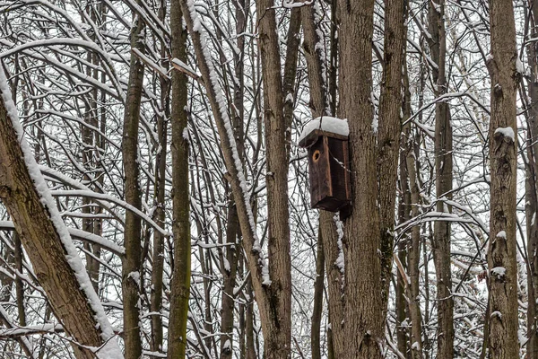 Antigua Pajarera Madera Con Una Capa Nieve Techo Suspendida Árbol —  Fotos de Stock