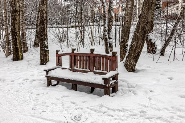Eine Alte Schneebedeckte Holzbank Der Nähe Eines Verschneiten Weges Einem — Stockfoto