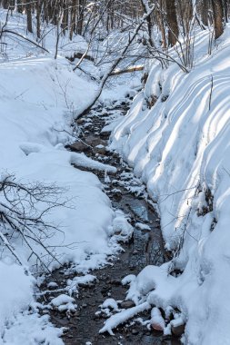 Şehir parkındaki kış deresi. Güneşli bir günde, güneş karla kaplı bir kış deresinin kıyısında parlar.