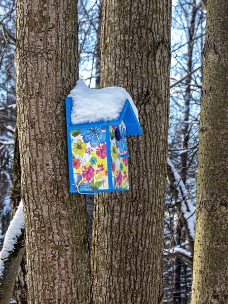 Colorida Casa Pájaros Bosque Invierno Con Techo Cubierto Nieve Clavado —  Fotos de Stock