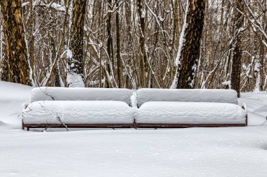 Şiddetli bir kar yağışından sonra koltuklarında ve sırtlarında kar yığınları olan ormandaki banklar.