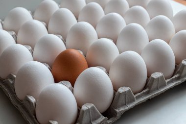 Beyaz tavuk yumurtalı karton paket ve açık arkaplanda kahverengi kabuklu bir yumurta.