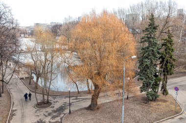Moskova, Rusya, 04.06.2021. Gorky Park, Maly ve Bolshoy Golitsyn göletlerinin tepesindeki ağaçların manzarası