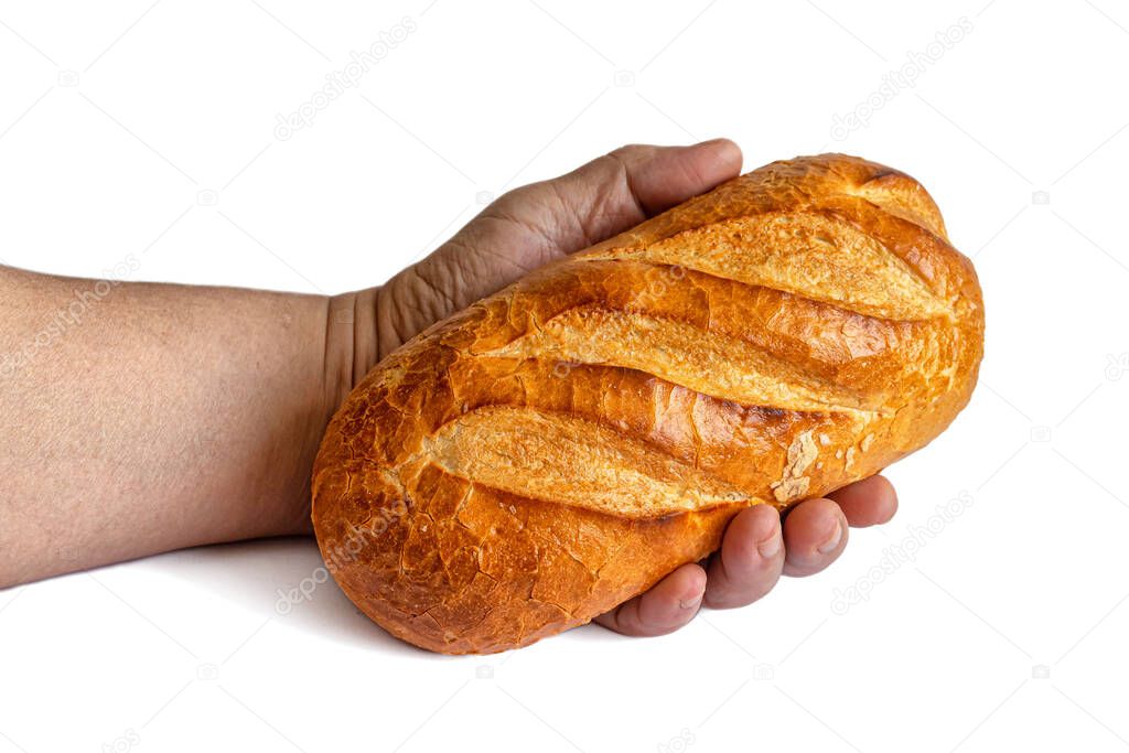 Loaf of wheat flour bread with a golden crust in a man's hand, isolated on a white background