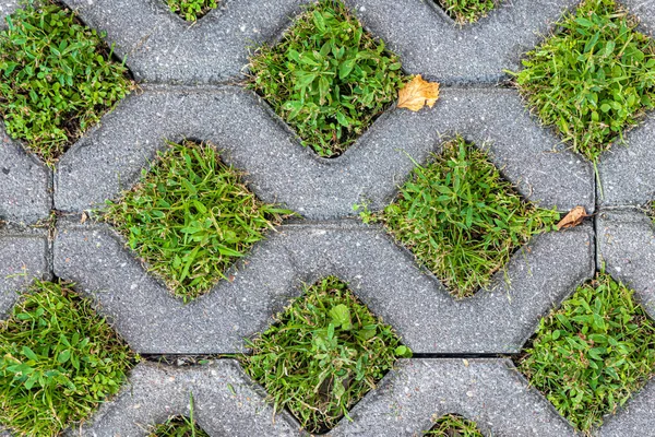 Milieuvriendelijke Betonnen Tegel Met Gaten Voor Grasgroei Gemeentelijke Parkeerplaats — Stockfoto