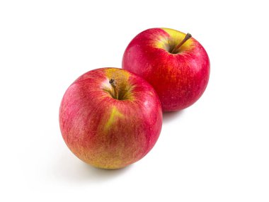 Olgun kırmızı-sarı elmalar, sonbahar hasadı beyaz arka planda izole edilmiş.