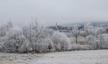 Buz gibi ağaçlar ve kilise kulesi 