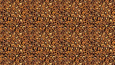 Leopar deri iz sürme arkaplanı. Turuncu çitada siyah jaguar çizgileri olan sarı panter benekleri..