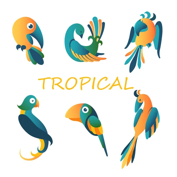 Tropical exotic birds. Green paradise parrots with big billed yellow toucan. — Stock Vector