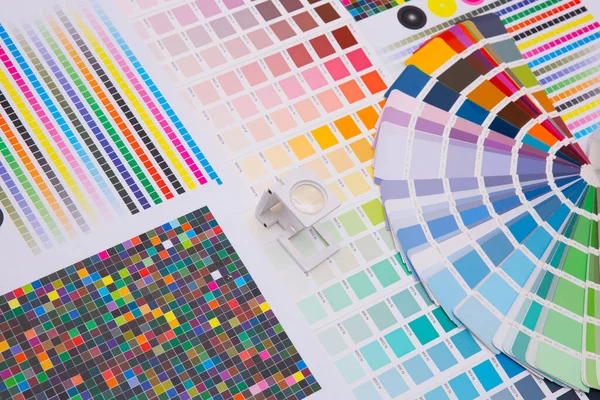 Renk yönetimine basın. Cmyk çizgili hoparlör ve renk paletleri. Ticari baskı.