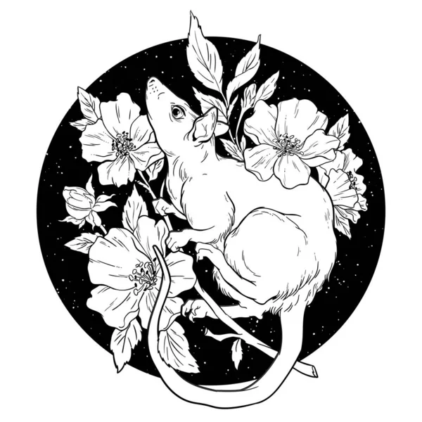 Black and white rat with flowers. Vector Illustration. — 스톡 벡터