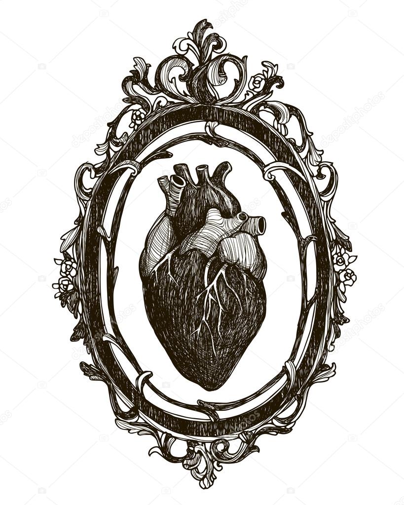 Cuore umano anatomico e telaio isolato su priorit  bassa bianca Illustrazione vettoriale disegnato a mano dell annata — Vettoriali di Martimar