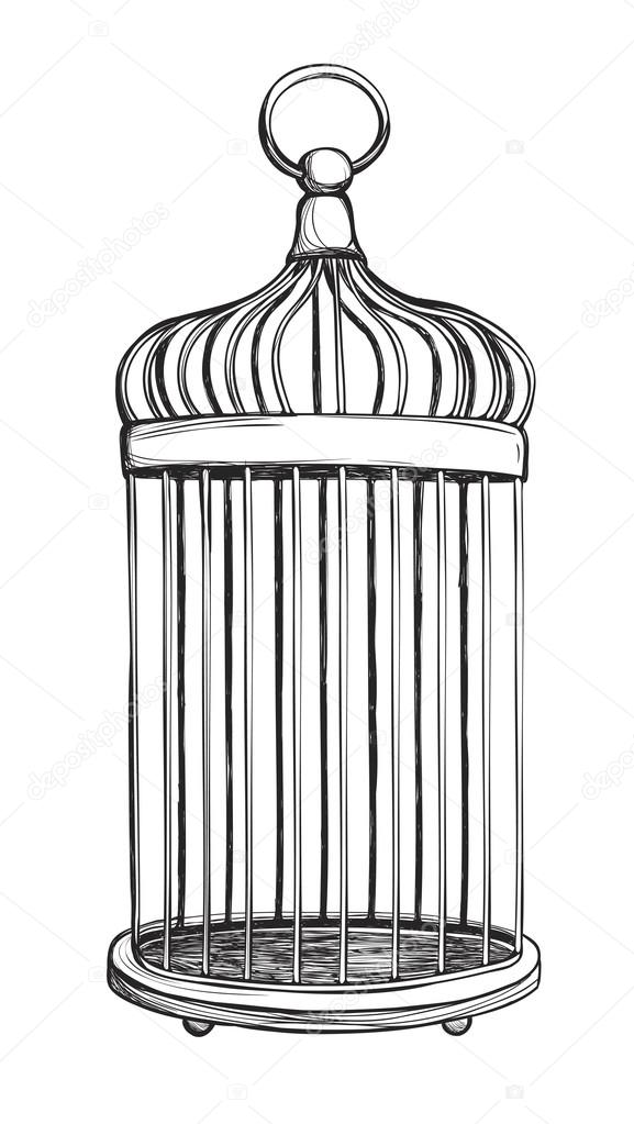 Birdcage isolated on white background